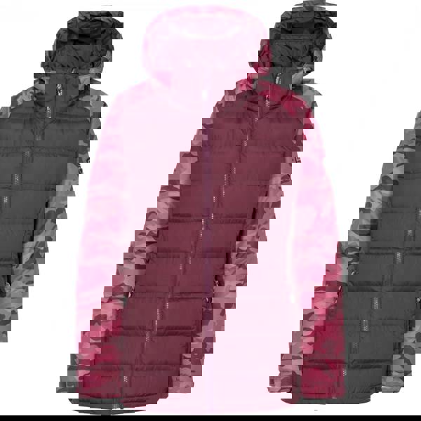 Trespass Womens/Ladies Urge Windproof Ski Jacket - Fig