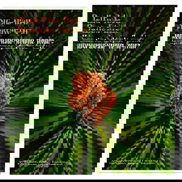 Korres Black Pine Primus Cream 40 ml