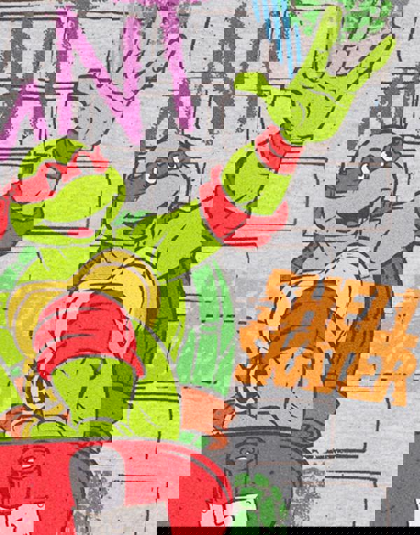 Teenage Mutant Ninja Turtles Boys Grey Shell Skater Hoodie