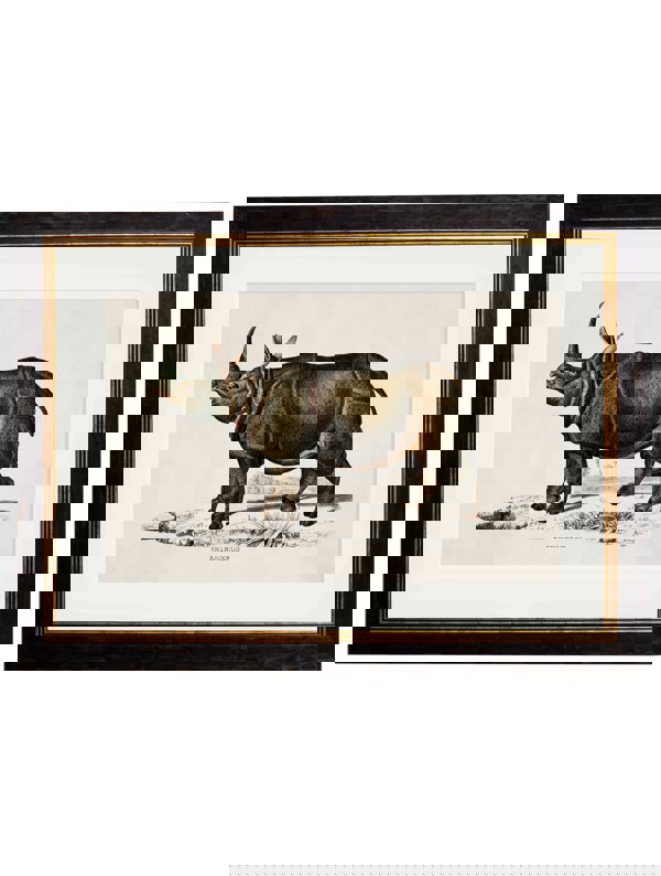 Exceptional Art c.1846 Rhino & Hippo