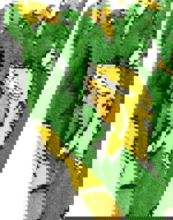 The Simpsons Mens Green Homer Long Sleeve Long Leg Pyjama Set