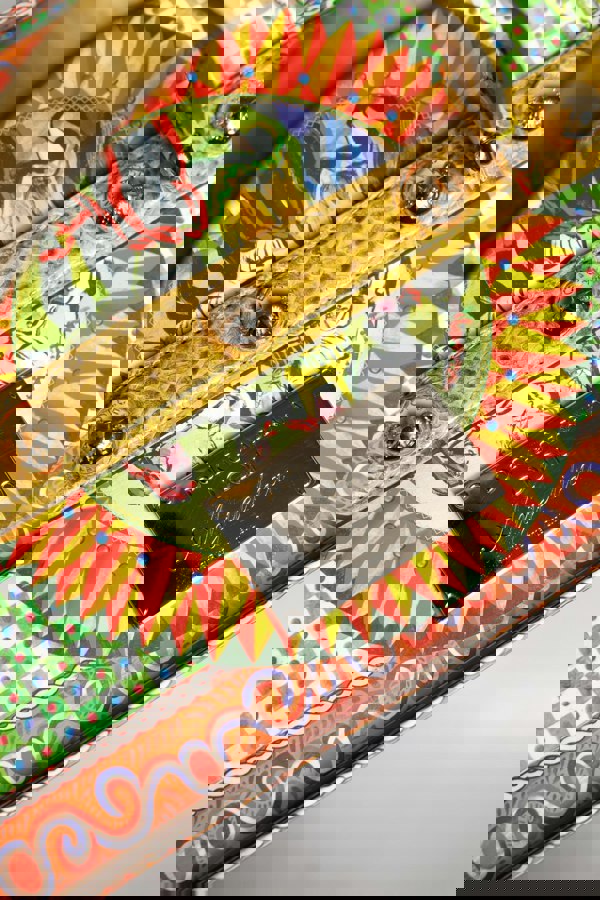 221285905.jpg