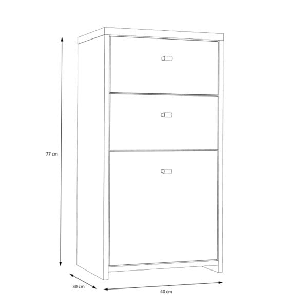 Wyld Haus Willowmere Vintaeg Wood Chest Storage Cabinet 2 Drawers 1 Door