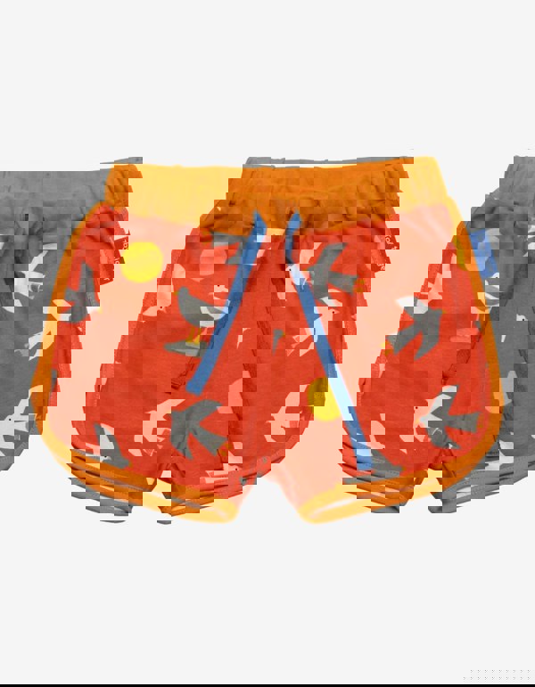 Organic Seagull Print Running Shorts - Toby Tiger UK Retail