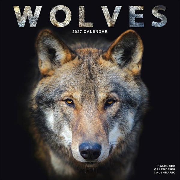 Wolves Calendar 2027, Wall Calendars, Month To View, Animals, Gift