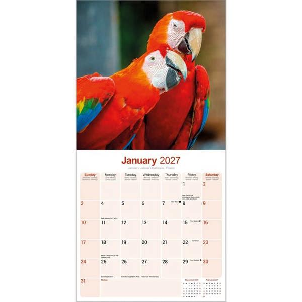 Macaws Calendar 2027, Wall Calendars, Month To View, Animals, Gift