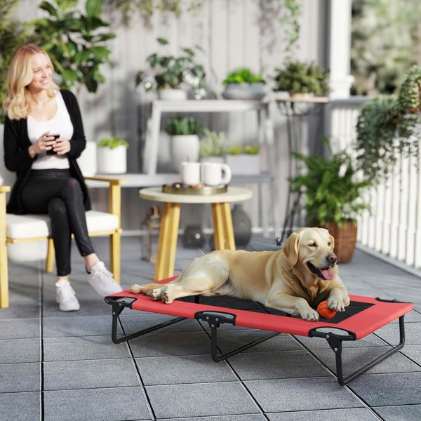 Elevated Dog Bed