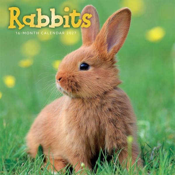 Rabbits Calendar 2027, Wall Calendars, Month To View, Animals, Gift