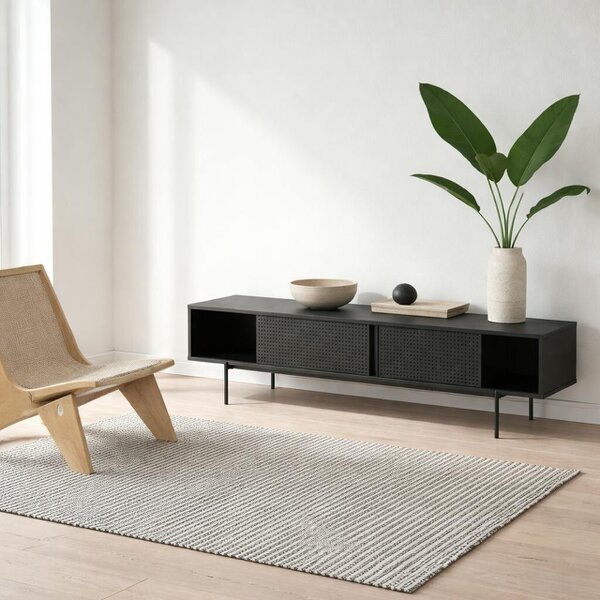 Wyld Haus Cambridge Industrial Black Mesh TV Unit in Black
