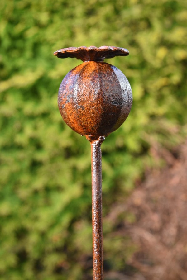 Metal Poppy Seedhead