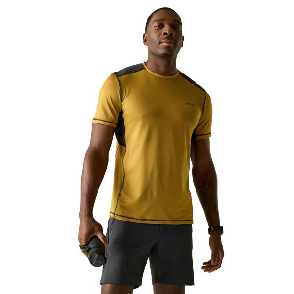 Regatta Mens Virda T-Shirt - Wood Brown/Black - 