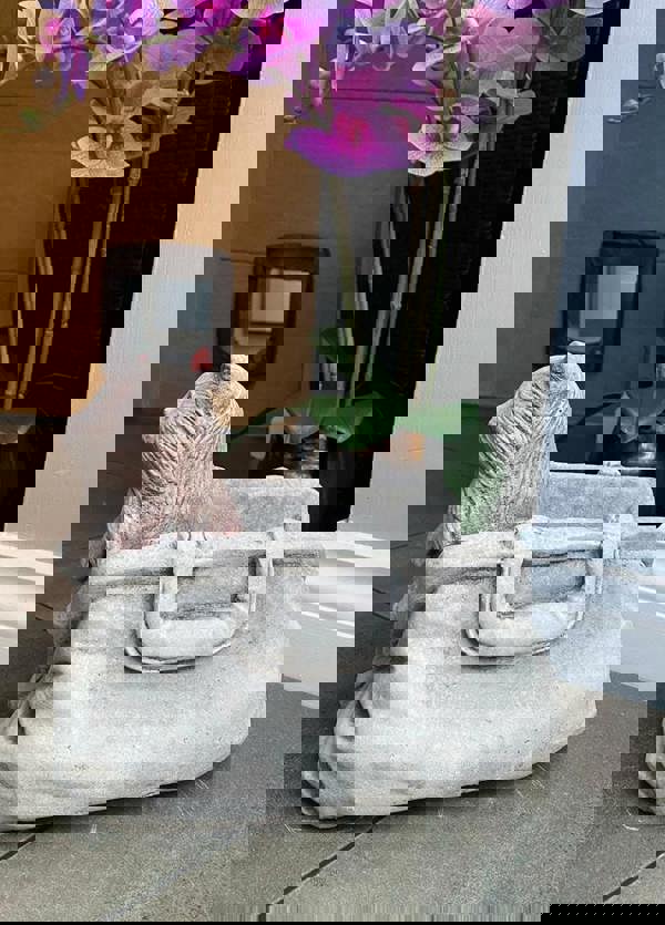 Cat in Bag Stone Pot planter