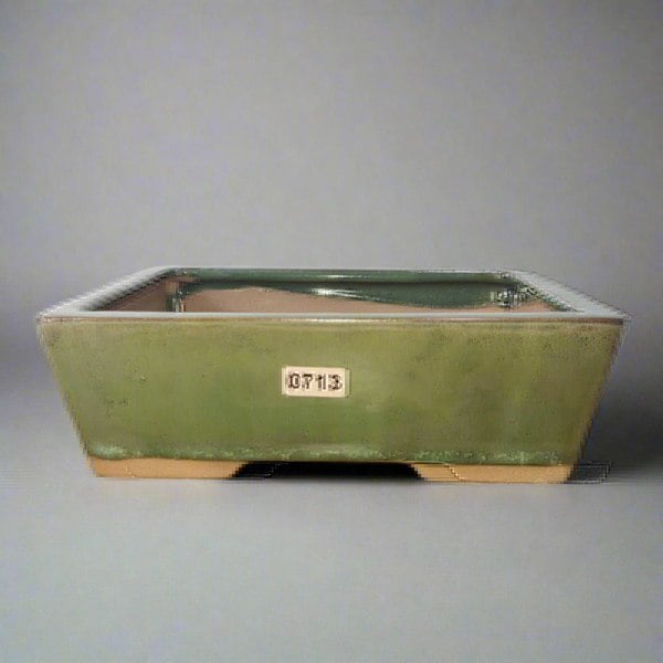 19cm Glazed Bonsai Pot | Rectangle | 19cm x 14cm x 6cm | Green - Yorkshire Bonsai