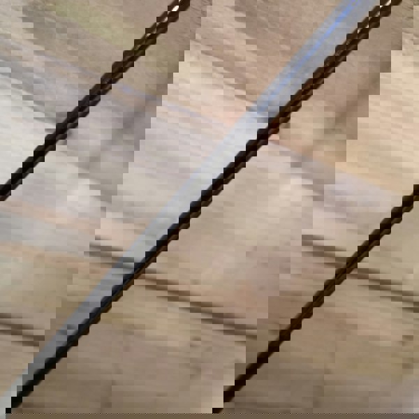 Samuel Alexander 2 Pack of Tom Chambers Cottage Heavy Duty Black Metal Steel Herbaceous Garden Plant Support Arc Small 60cm x 36cm