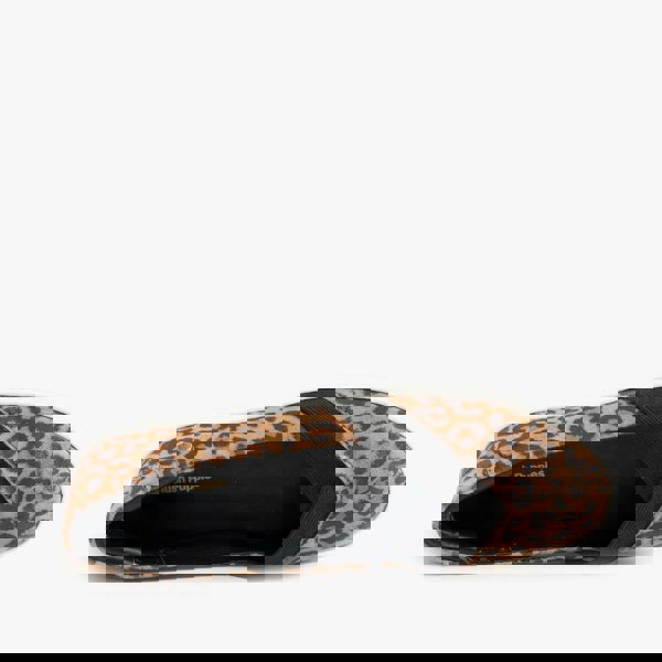 1615291929-78336300.jpg