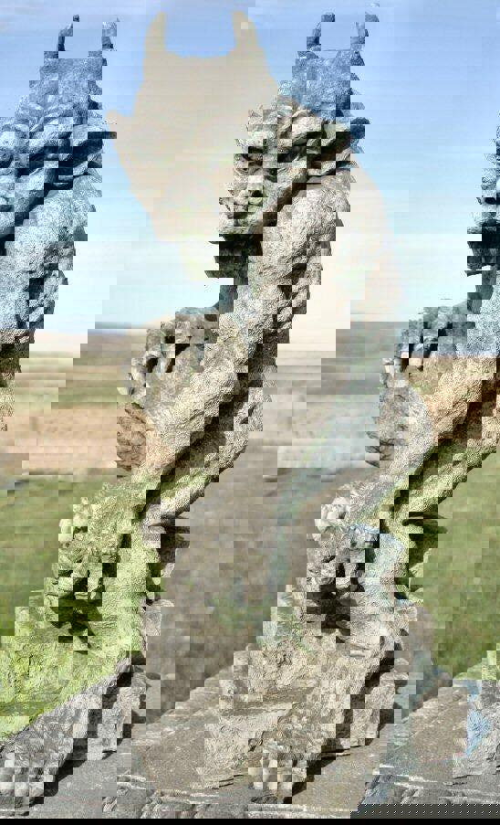 Guardian Gargoyle and Devil Ornaments