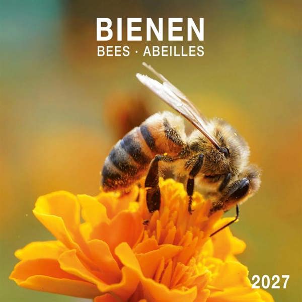 Bees Calendar 2027, Wall Calendars, Month To View, Animals, Gift