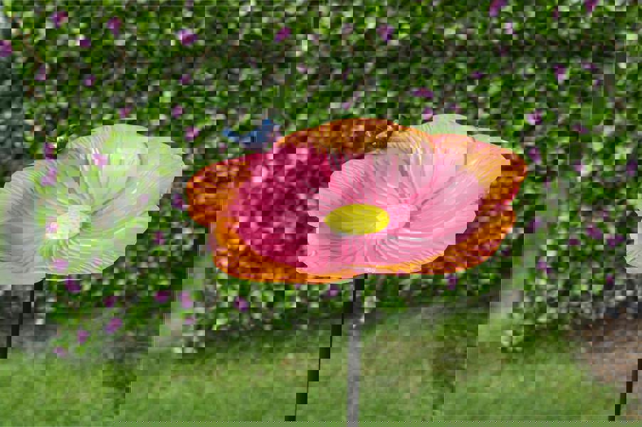 St Helens Ornamental Free Standing, Weather Resistant, Easy Assemble Bird Bath and Feeder