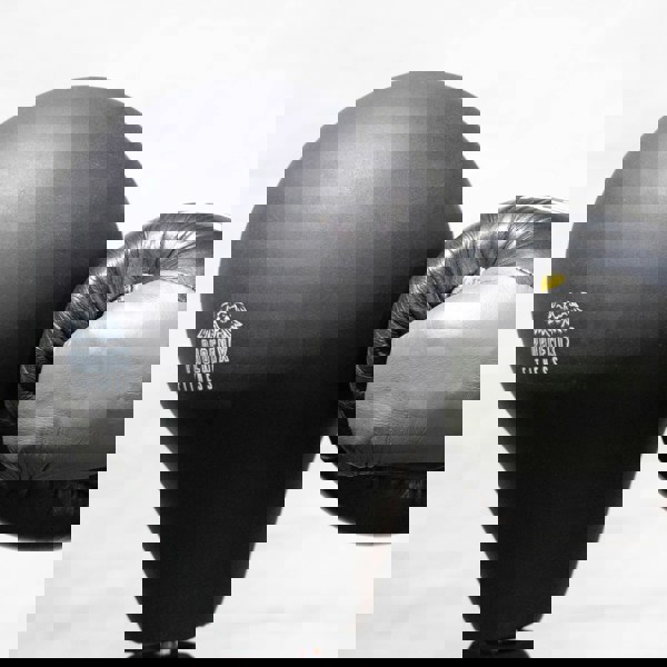 Phoenix Fitness Free Standing Speed Ball