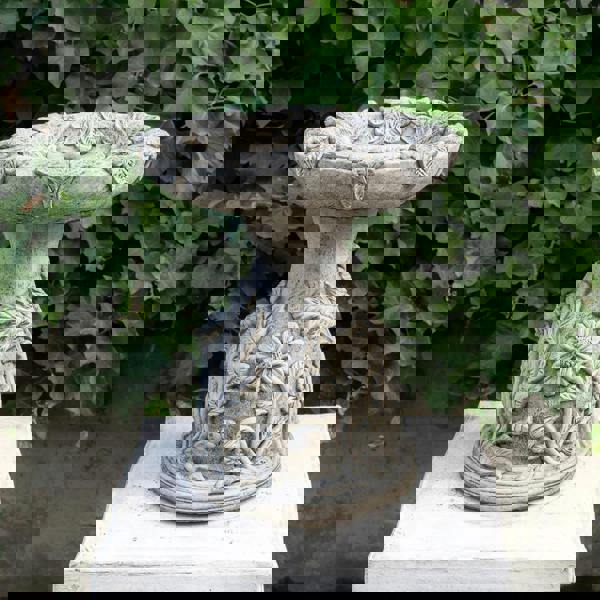 English Oak Design Stone cast Bird Bath Bird feeder