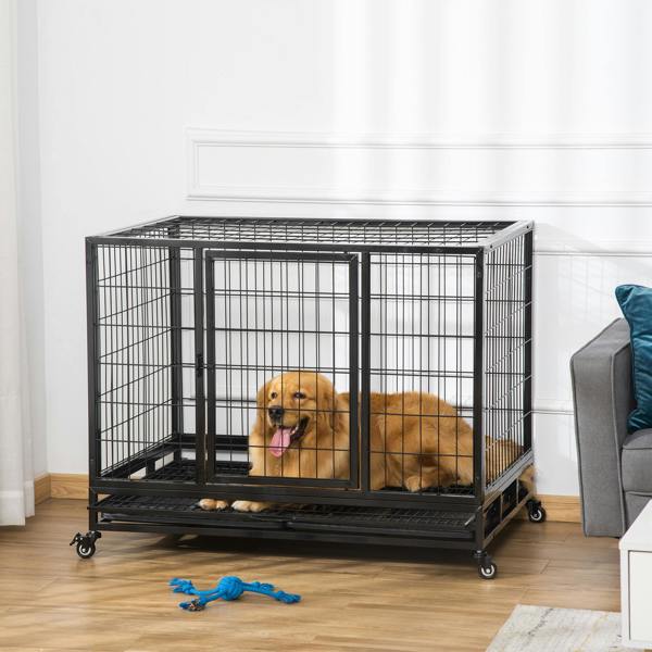 Dog Cage