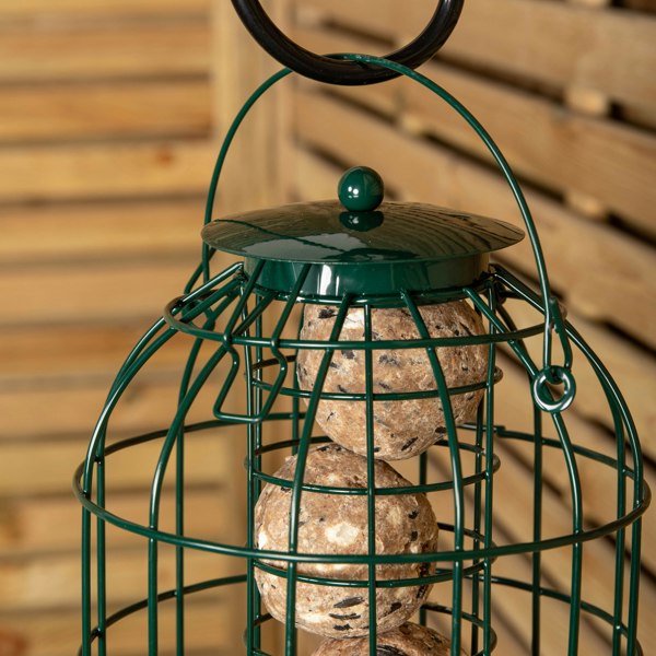 Samuel Alexander Pack of 5 Wild Bird Fat Ball Feeder with Squirrel Guard