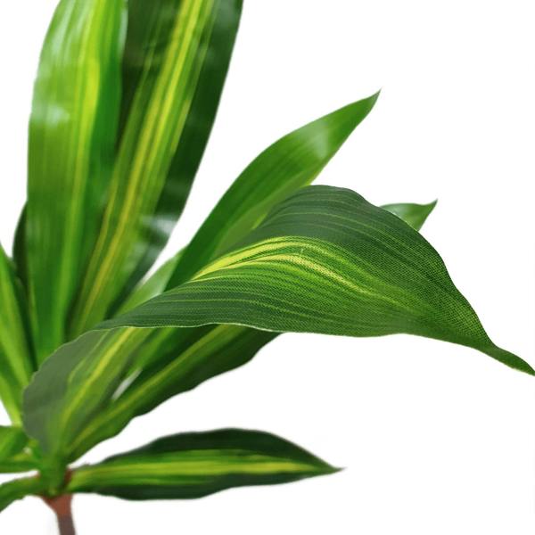 Artificial Dracaena Fragrans Dragon Tree – 100cm of Lush Elegance - Evergreenery