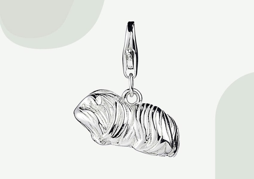 Long Haired Guinea Pig Silver Charm - MYLEE London