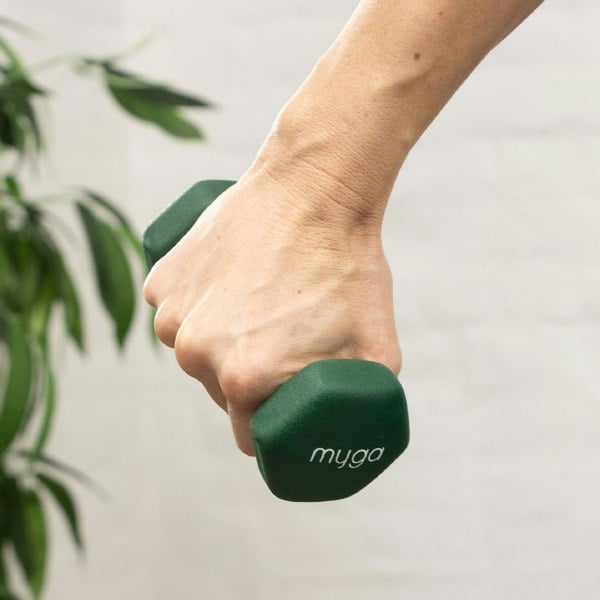 Myga Hex Dumbbell Pairs: 1kg to 10kg