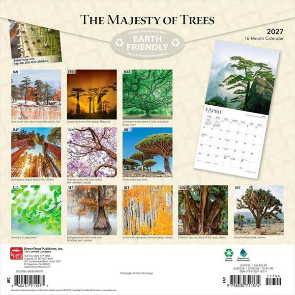 The Majesty of Trees Calendar 2027, Wall Calendars, Month To View, Natural World, Gift