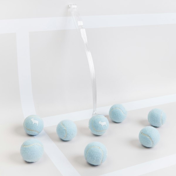 Light Blue Tennis Balls with Dog Tennis Ball Launcher