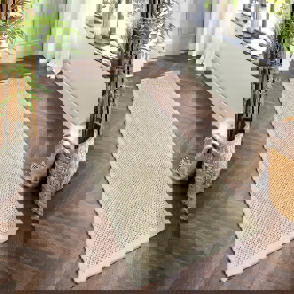 Origins Sisal Light Beige with Sand Border