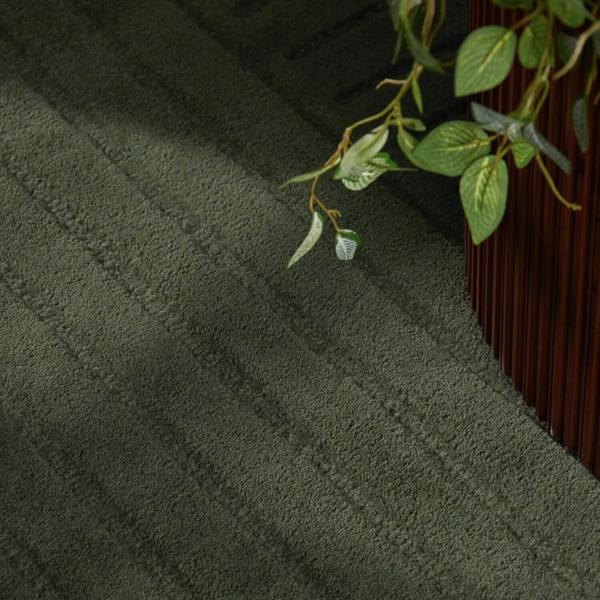 Green textured rug with a plant in the corner
