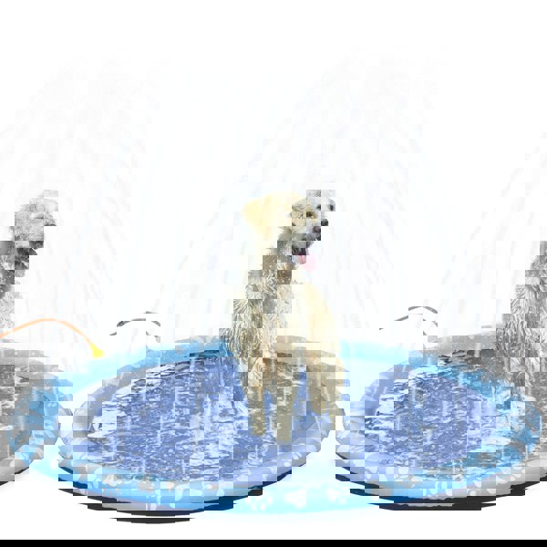 D01-032V01BU