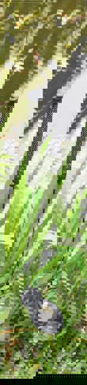 Luxform Solar Stick Spike Light Black