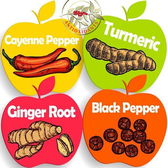 Dietapplements Apple Cider Vinegar with the Mother, Superfood, Biocultures & Berries Complex