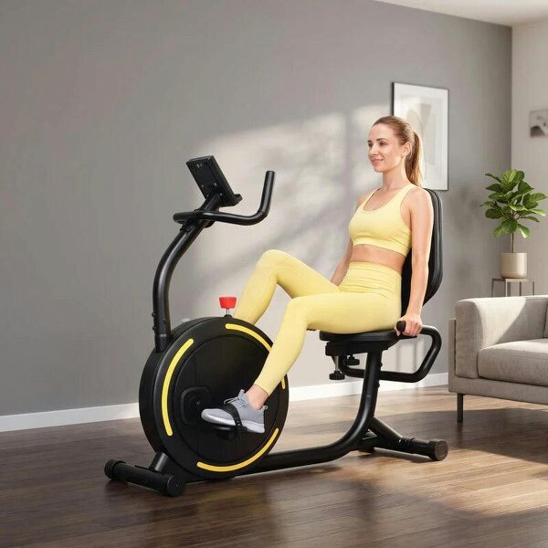 Recumbent Exercise Bike for Home, Indoor Stationary Bike for Seniors with App Connectivity, 0-100% Magnetic Resistance