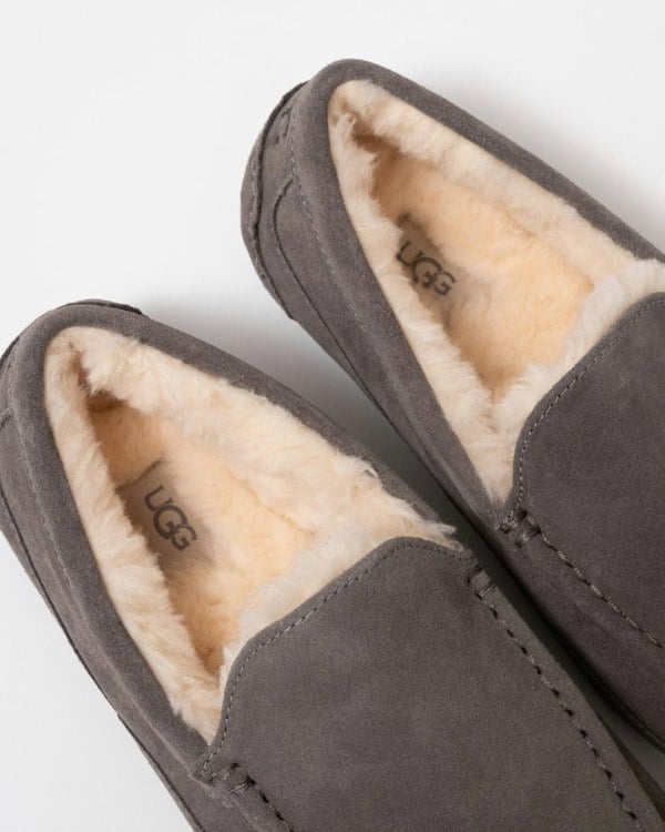 UGG Ascot Mens Slipper - Grey