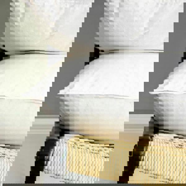 Soak&Sleep Duck Feather & Down Pillows