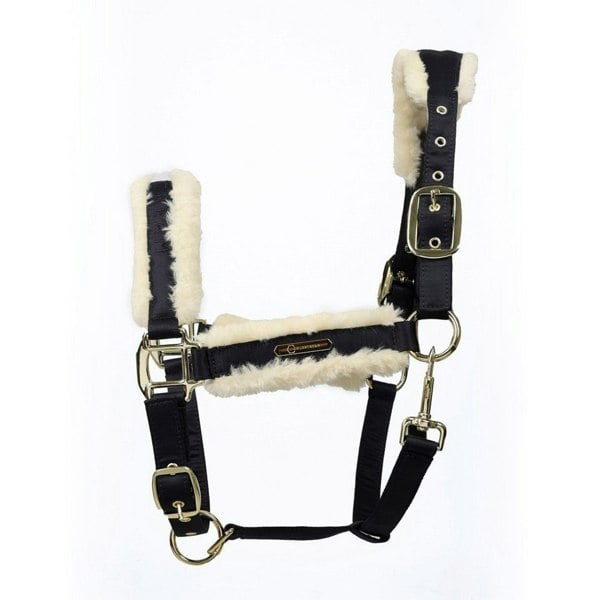 Coldstream Langlee Luxury Horse Headcollar and Leadrope - Navy