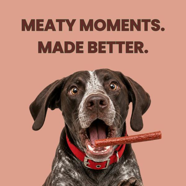 Favour Meaty Sticks Dog Treats