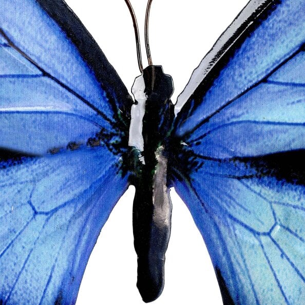 Garden Butterfly Wall Ornaments Bright Coloured Metal Butterflies 5 Colours Available (Black & Blue)