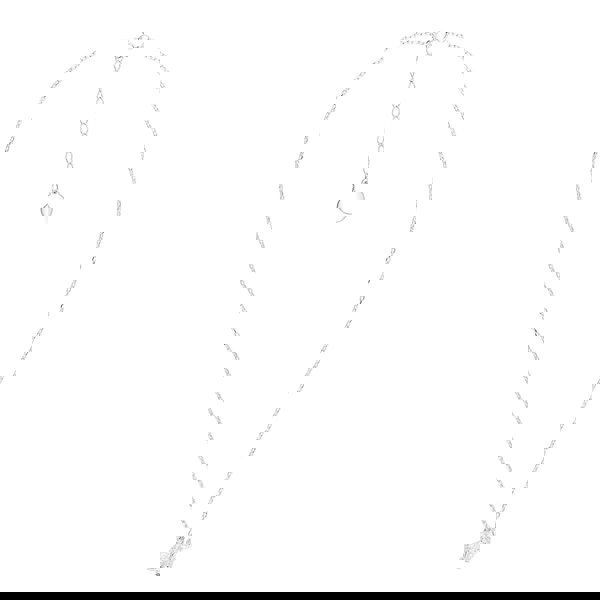 Long - Haired Cat Silver Necklace - Personalised - MYLEE London