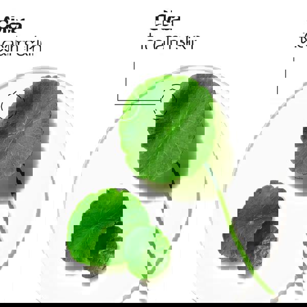 Clinique Moisture Surge™ Intense Hydrator 50 ml