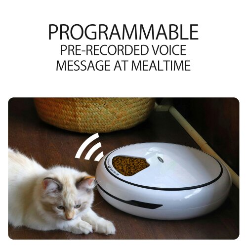 Lentek 5 Meal Automatic Pet Feeder Timed Food Dispenser with Voice Recorder for Cats & Dogs
