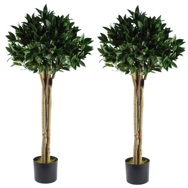 Leaf 120cm Pair of Bay Trees Laurel UV Resistant Outdoor Topiary