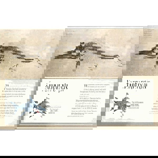 Dinosaurs and Other Prehistoric Life (DK Children's Anthologies)