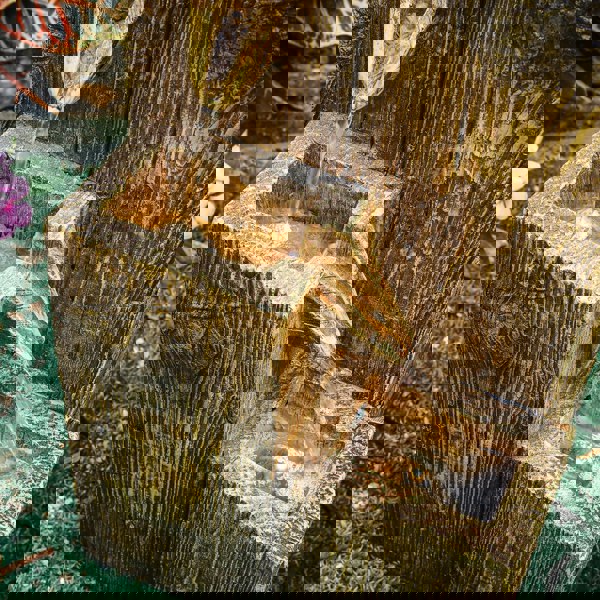 Garden Fountain Self Containing Water Feature Solar Powered Fountains Living and Home