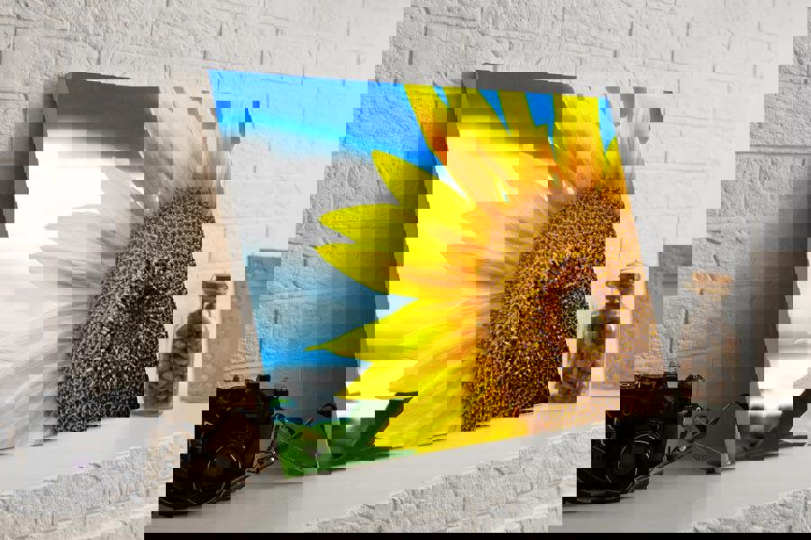 sunflower canvas wall print fotoviva