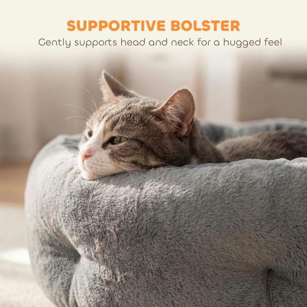 Cat House